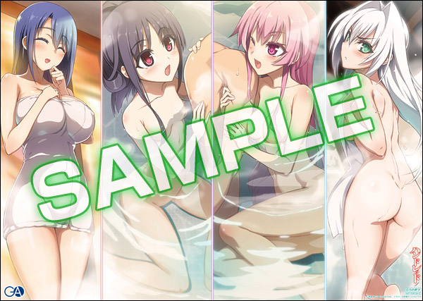 20161107hundred_tora