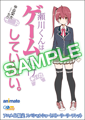 20161130segawa_animate