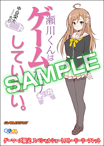 20161130segawa_gamers