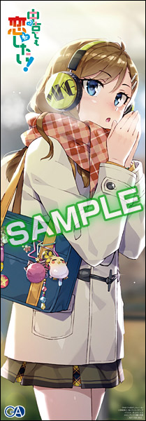 20161209chuko_melon_stick